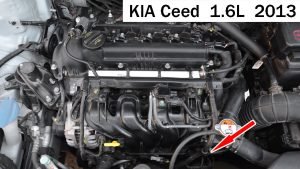 CKP location