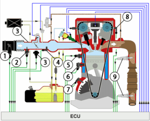 Engine Management System diagram
